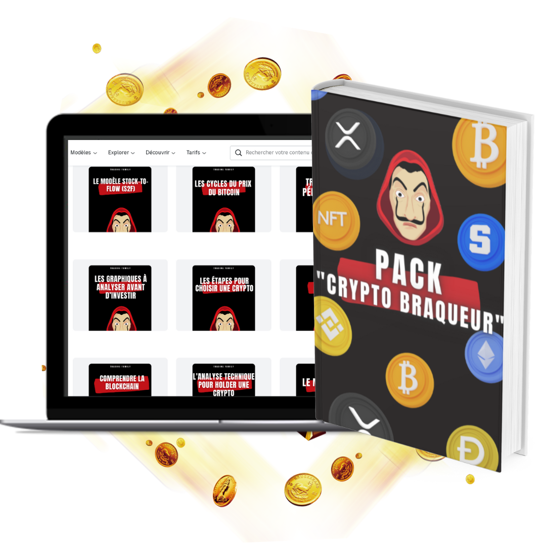 Pack Crypto Braqueur